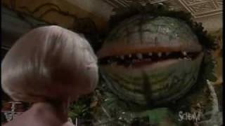 LIttle Shop of Horrors - Suppertime
