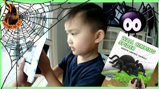 Realistic SPIDER that climbs walls. He TRIED to PRANK me.