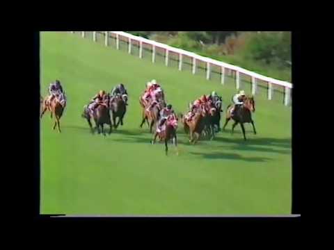 Splendid Ann Mercury Sprint