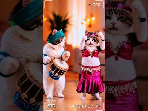 Cute cat dance #cute #cat #funny #animals #dance #shorts  #gkpushpad #trending #viralvideo