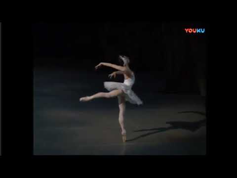 swan lake act 2 (mariinsky ballet)