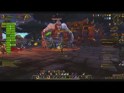 World of warcraft: Fighting with Grong