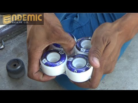 Endemic Skate Co. (Spartan Wheel Series Video Release)