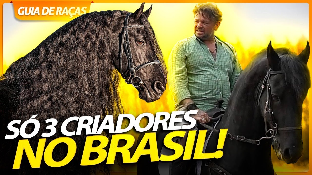 FRIESIAN, UM CAVALO QUE QUASE FOI EXTINTO! | RICHARD RASMUSSEN
