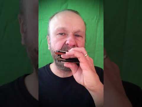 WHEN THE SAINTS #9 - Latin Flavored - Old Town Schools “song of the session” - Filisko Method