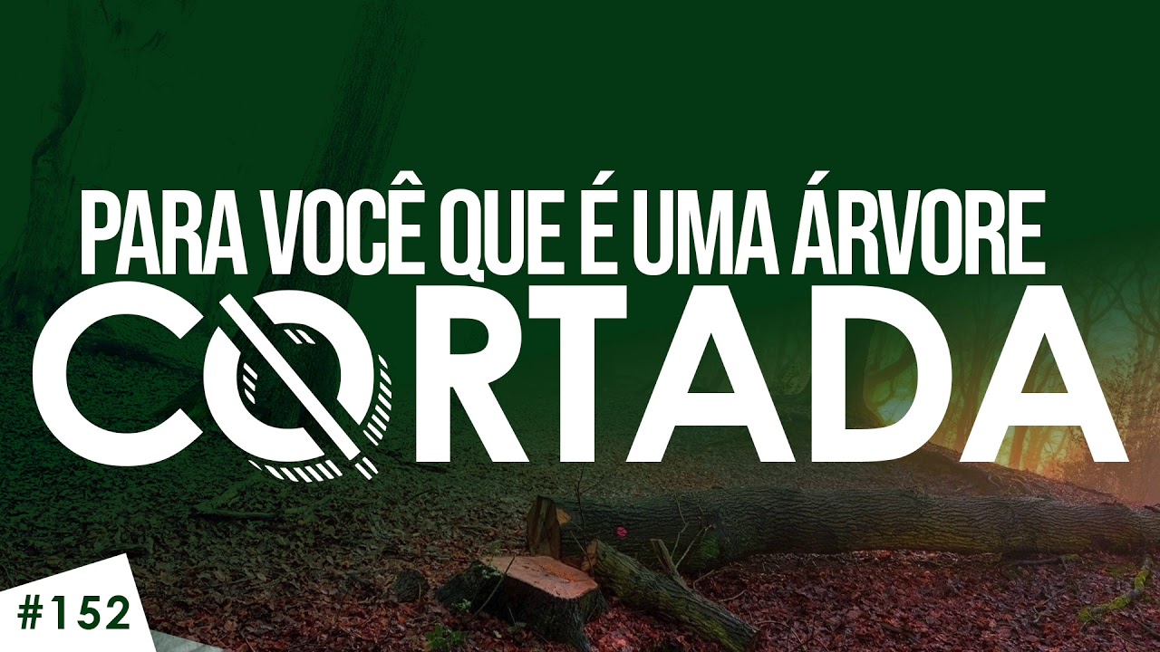 Para VOCÊ que é uma árvore cortada