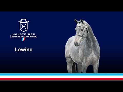 Die Verbandshengste 2020 - Lewine v. Livello-Corrado I