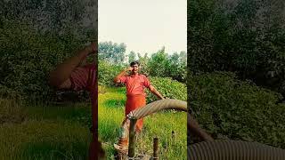 Download lagu dekha he mene to paheli baar mp3