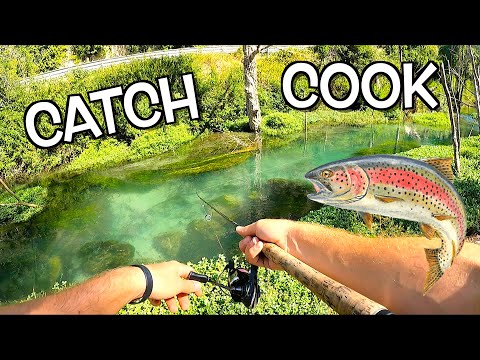 Catturo una GROSSA Trota in Torrente e me la MANGIO! Pesca a Light Spinning con Rotanti Catch & Cook