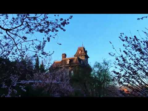Phantom Manor re-opening on May 3rd 2019 (teaser)