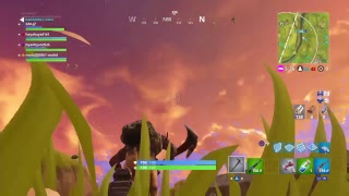 実況放送  Fortnite のんびり勝利を勝ち取れ