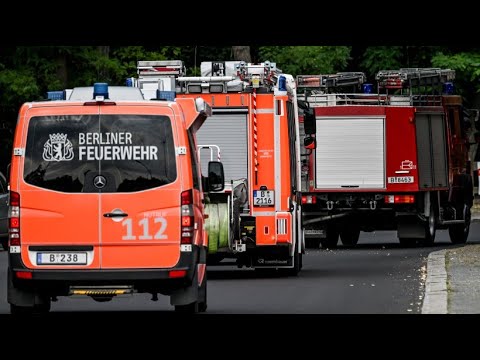 Fire in Berlin's Grunewald: How are firefighting efforts progressing?