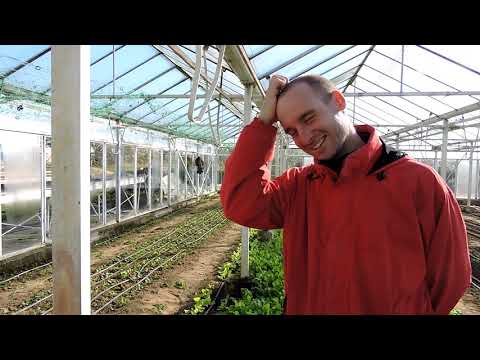 , title : 'Téli növénytermesztés + önellátás - Krisna-völgy kertészet 2. rész'