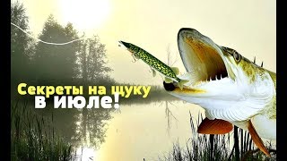 На что хорошо клюет рыба в июле