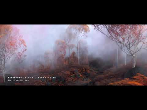 Elements In The Distant North (Rinoa - Fires in the Distant North re-arrangement)