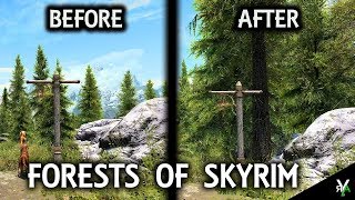 FORESTS OF SKYRIM: Forest/Environmental Mod!!- Xbox Modded Skyrim Mod Showcase