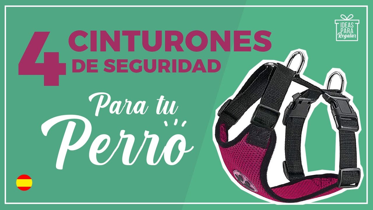 ▷ CINTURONES PARA PERROS 🐕 de venta en AMAZON .【IDEAS PARA REGALAR】