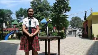 Spring Dale Public School Video