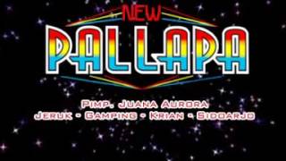 Download lagu Rara kania artis cilik - Payung Hitam - New Pallapa live gresik mp3 Download lagu Rara kania artis cilik - Payung Hitam - New Pallapa live gresik mp3