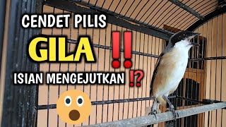 Download lagu GILA‼️ MENGEJUTKAN... CENDET PILIS GACOR ISIAN ANEH BIKIN CENDET LAIN TERBAKAR EMOSI mp3