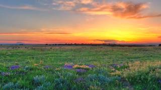 The Trip ☮ Art Pepper (Jazz Sax) - HD/HQ