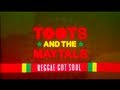 Toots & The Maytals - Reggae Got Soul ...