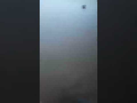 shainy playing with me around the cars in the yard.بازی شاینی با من دور ماشینها تو حیاط.🤩🐕😍