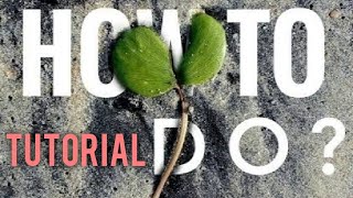 Download the video "2 MINUTE !!! HOW TO EDIT TEXT BEHIND OBJECT USING SNAPSEED,SIMPLE AND EASY"
