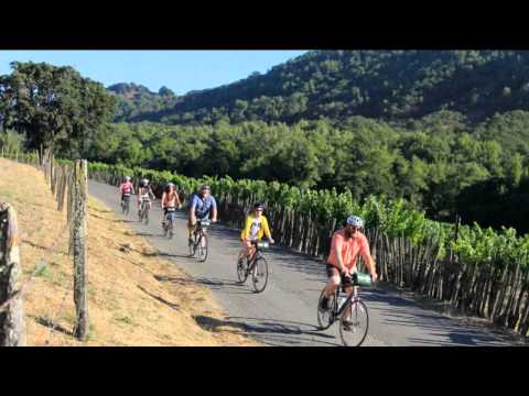 download lagu mp3 mp4 Napa Valley Bike Wine Tours, download lagu Napa Valley Bike Wine Tours gratis, unduh video klip Napa Valley Bike Wine Tours