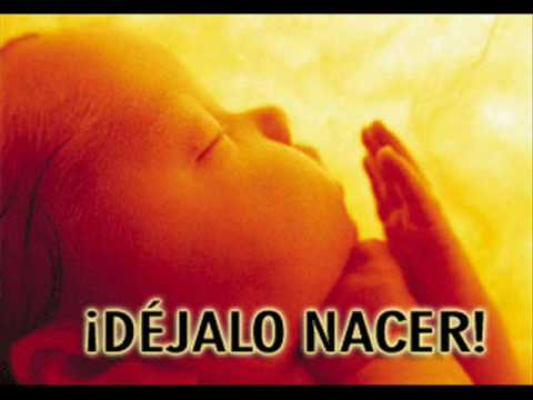El Aborto - Aspirante