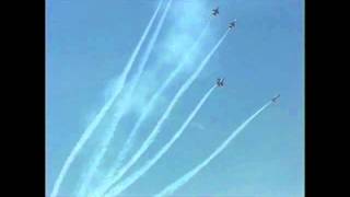 US Navy Blue Angels Delta Fleur-De-Lis