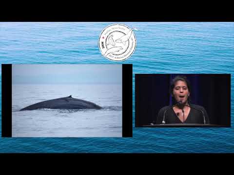 SMM2017 Monday Plenary Sessions