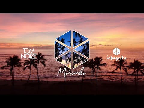 Tom Noize - Marimba [Inkognito Records]