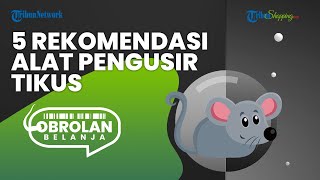 Ini 5 Rekomendasi Alat Elektronik yang Bisa Kalian Gunakan untuk Mengusir Tikus dengan Mudah