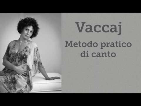 Vaccaj- Quell’onda che ruina -High Voices -pronunciation , 発音 , 발음-Lyrics