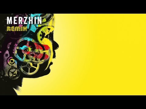 Merzhin Ft. Z - L'éclaireur - Zebra remix