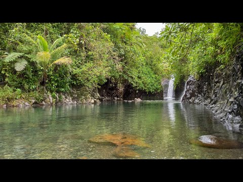 Lavena Coastal Walk | Taveuni Island, Fiji 🇫🇯 | Scenic Trail