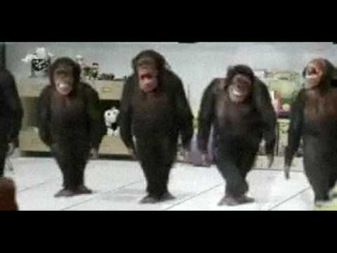 NOLA: rising icons Feat Dee-1, gpc rhythm section, Elysian Fieldz and Project League.