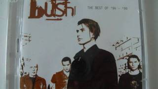 Bush - The One I Love [Live at Woodstock]