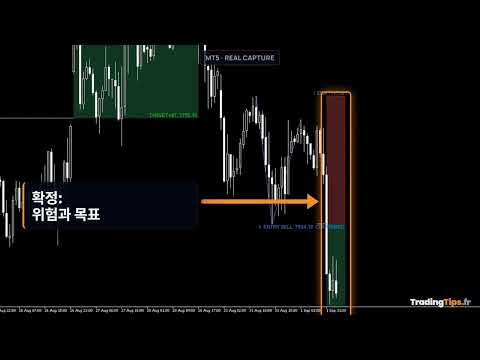 Video Double Top Bottom Head and Shoulders Levels MT5