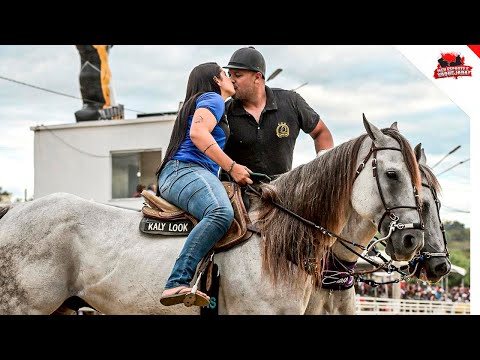 Não me Julgue Apenas com Sua Imaginação - Mano Walter (Clipes de Vaquejada)