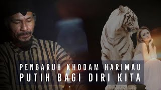 Download lagu Ketahui disini - Pengaruh Khodam Harimau Putih Bagi Diri kita mp3