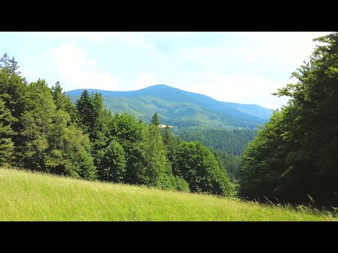 Letní tip na výlet - Beskydy - Lysá hora, Ostravice, Přehrada Šance, Ráj dřevěných soch