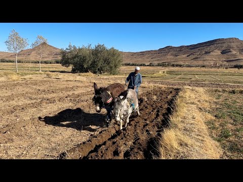 #VLOG121 |   لن تتخيلوا ماذا قال لي هذا الفلاح‼️قرية تولال 🇲🇦