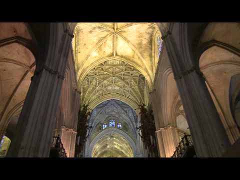 International Film & Video