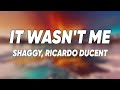 Shaggy It Wasn T Me Lyrics