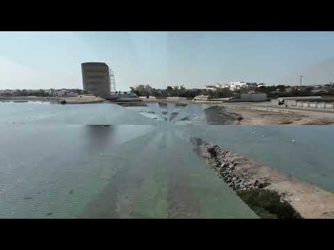 Nabih Saleh flying birds - Bahrain