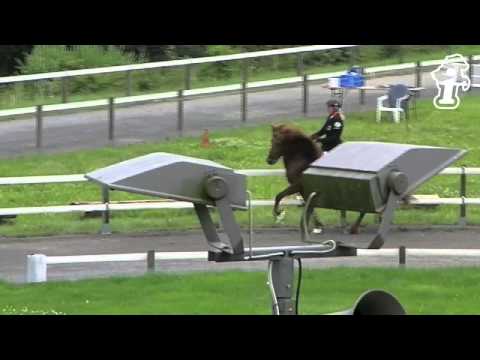 DIM 2013 - T1-VE Steffi Svendsen - www.isibless.de