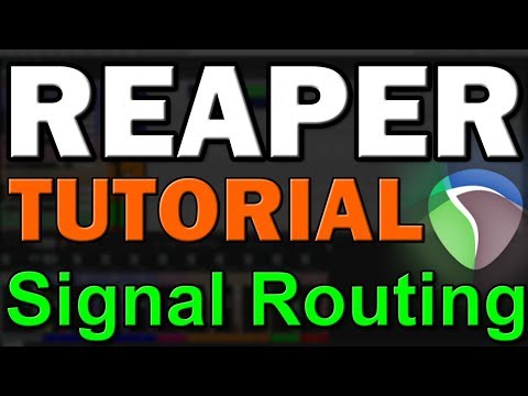 Reaper DAW Tutorial (Part 3) – Track Setup and Signal Routing