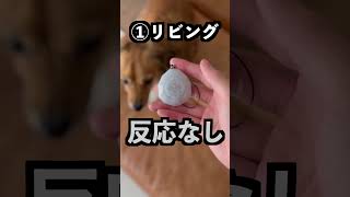 隕石の前でUFO検知石を試したら反応しまくった！